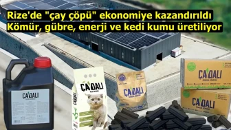 Rize Belediyesi'nin Çay Atıkları Ekonomiye Kazandırdığı Çevre Dostu Proje Ödül Aldı!