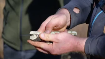 Bayburt’ta Trüf Mantarı Sezonu Başladı