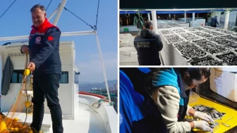 Trabzon'da Hamsi Avcılığına Sıkı Denetim, Stoklar Korunuyor