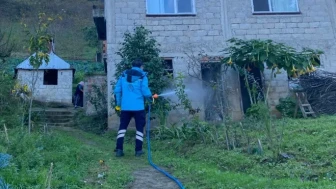 Trabzon'da kokarca mücadelesi için ilaçlama çalışmaları sürüyor