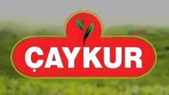ÇAYKUR, 2025 Ekim yaş çay ödemelerini üreticilere aktardı, çekim tarihi 29 Kasım!
