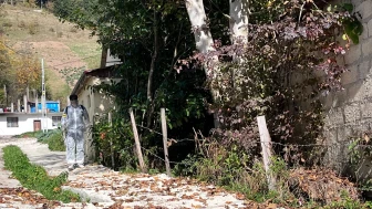 Düzköy'de Kahverengi Kokarca İçin Kış Mücadelesi Devam Ediyor