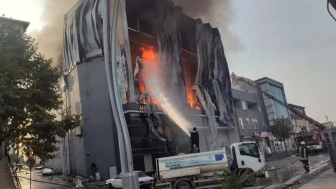 İşçi Nisa Taşdemir kimdir?