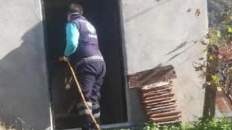 Beşikdüzü'nde kahverengi kokarca zararlısı için ilaçlama seferberliği sürüyor