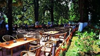 Rize Ziraat Çay Bahçesi