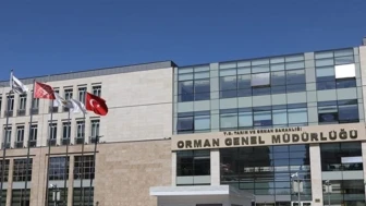 Rizelilere Müjde: Orman Genel Müdürlüğü 496 Personel Alacak