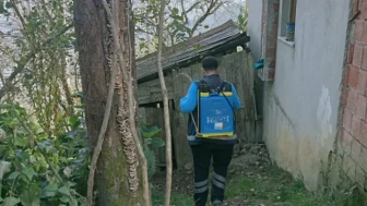 Trabzon'da Zararlı Kokarca ile Mücadele İçin İlaçlama Çalışmaları Sürüyor