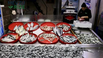 Rize'de hamsi bereketi: Tezgahlarda kilosu 50 lira