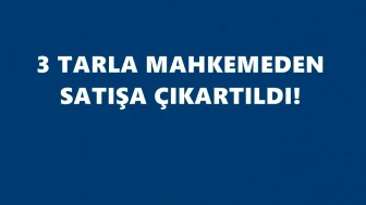 Ardanuç’ta üç tarla icradan satışa çıkıyor