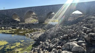 Diyarbakır'ın tarihi Dilaver köprüsü zamana direniyor