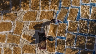 Kalsiyumun Kemik Gücüne ve Damar Sağlığına Etkisi: Vücudu Çelikleştiriyor!