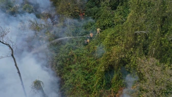 Artvin'deki orman yangını, 135 personel ve 32 araçla kontrol altına alındı