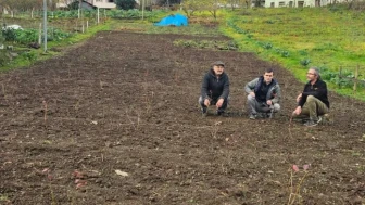 Şalpazarı’nda Maviyemiş Üretimi Destekli Bahçelerde İnceleme