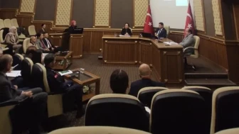 Artvin'de Çocuk Koruma Kanunu Toplantısı: Hizmetler ve İş Birliği Gözden Geçirildi