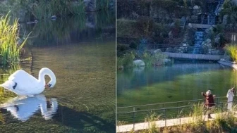 Rize'nin Isırlık Tabiat Parkı: Doğanın Kalbinde Huzur ve Panoramik Manzara