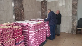 Trabzon'da yumurta paketleme işletmelerine kapsamlı gıda güvenliği denetimi yapıldı