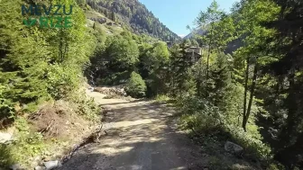 Rize'de Orman Tehlikesi: 174 Bin Hektar Yeşil Alan Tehdit Altında!