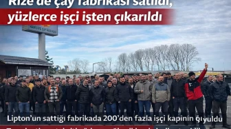 Rize'de çay fabrikası satıldı, yüzlerce işçi işten çıkarıldı