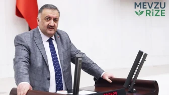 Hasan Karal ; Karadeniz Sahil Yolu acilen rehabilite edilmeli