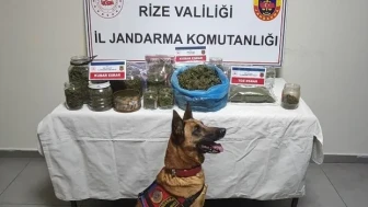 Rize'de Jandarma'nın uyuşturucu operasyonunda 2.5 kg esrar ele geçirildi, 5 kişi gözaltına alındı