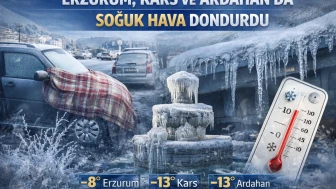 Erzurum, Kars ve Ardahan'da dondurucu soğuklar etkili, yaşam olumsuz etkilendi