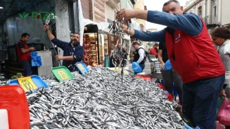 Karadeniz’de Balık Fiyatları Yeniden Düştü: Tezgâhlarda Hamsi Bolluğu