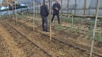 Araklı’da Seralara Yönelik Kontrol ve Denetimler Yapıldı