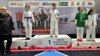 Rize Karate Takımı Giresun'da Dikkat Çeken Başarılar Elde Etti