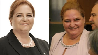 Bihlun Tamaylıgil Kimdir?