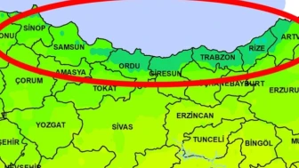 Ordu Rize Trabzon Artvin Giresun ve Gümüşhane'de 3 gün üst üste tüm ilçelerde kesinti yaşanacak