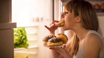 İştah Kontrolünün Sırrı: Araştırmacılar Hayati Bir Proteini Ortaya Çıkardı