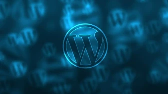 WordPress Çoklu Dil Ekleme Nasıl Yapılır? WPML ve Polylang Kullanımı