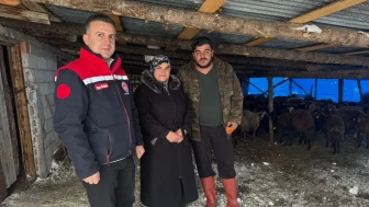 Aydıntepe'de Küçükbaş Hayvancılığa Destekle Sürdürülebilir Tarım Hedefleniyor