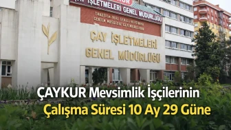 ÇAYKUR'da Mevsimlik İşçilerin Çalışma Süresi 10 Ay 29 Güne Uzatıldı