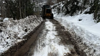 Karla mücadelenin yanı sıra altyapıda parke yenileme çalışmaları hız kesmiyor