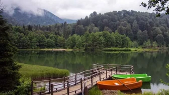 0466 Nerenin Alan Kodu?