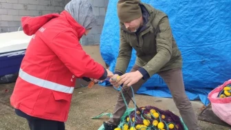 Beşikdüzü'nde Su Ürünleri Avcılığına Denetim: Uygunsuzluklar Tespit Edildi