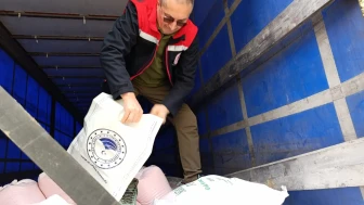 Trabzon'da liman denetimleriyle gıda güvenliği sağlanıyor