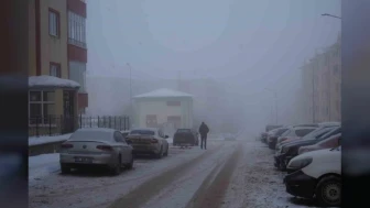 Erzurum'da sis, ulaşımı zorlaştırdı
