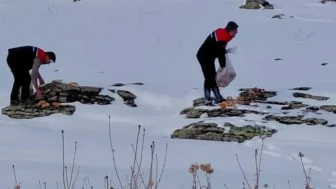 Çat'ta ağır kışta yaban hayatı için yiyecek bırakma çalışmaları sürüyor