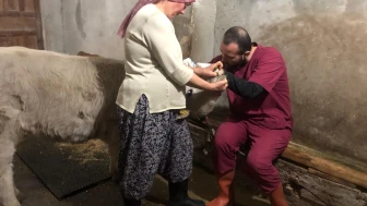 Dernekpazarı’nda Hayvancılığa Sağlık ve Güvenlik Desteği Sürüyor