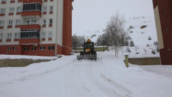 Bayburt'ta karla mücadele çalışmaları aralıksız sürüyor, ulaşımın aksamaması için yoğun mesai harcanıyor