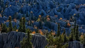 Cengiz’e hiçbir karar işlemiyor: Koruma altındaki alanda maden arama izni