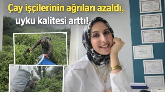 Çay işçilerinin ağrıları azaldı, uyku kalitesi arttı!