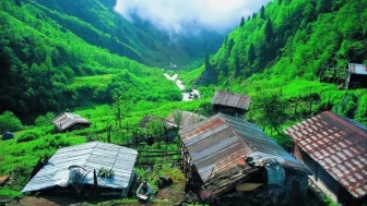 🌿 Rize’nin Neyi Ünlüdür?