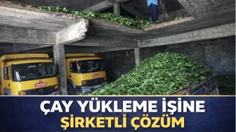 Çay yükleme işine şirketli çözüm