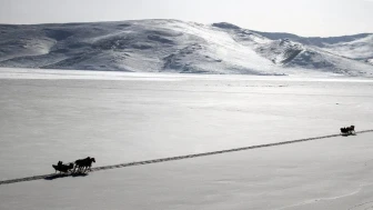 0478 Nerenin Alan Kodu?