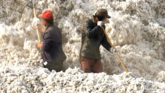 BM'den Çin'e Zorla Çalıştırma İle İlgili Kritik Uyarı!