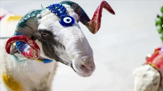 Kurban Bayramı 2026’da hangi günlere denk geliyor? 2026 Kurban Bayramı ne zaman başlıyor?