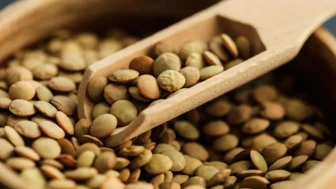 Yeşil Mercimek Nasıl Haşlanır? Tane Tane Dağılmadan Yeşil Mercimek Nasıl Pişer?